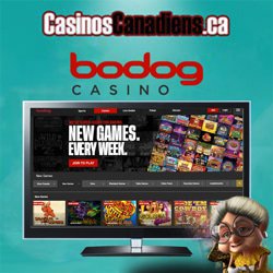 ludotheque-casino-ligne-canadien-sans-depot-bodog